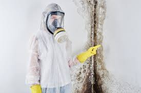 Best Residential Mold Inspection & Testing  in Brazil, IN